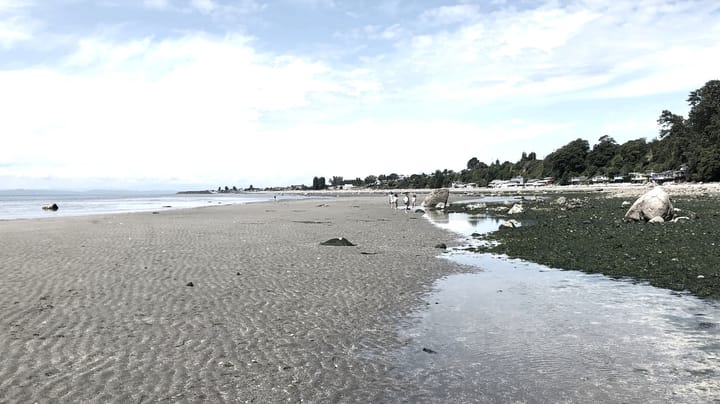 the other side of the sandbar